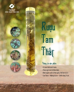 Rượu tam thất nguyên cây
