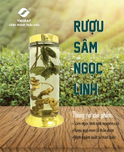 Rượu sâm ngọc linh nguyên cây
